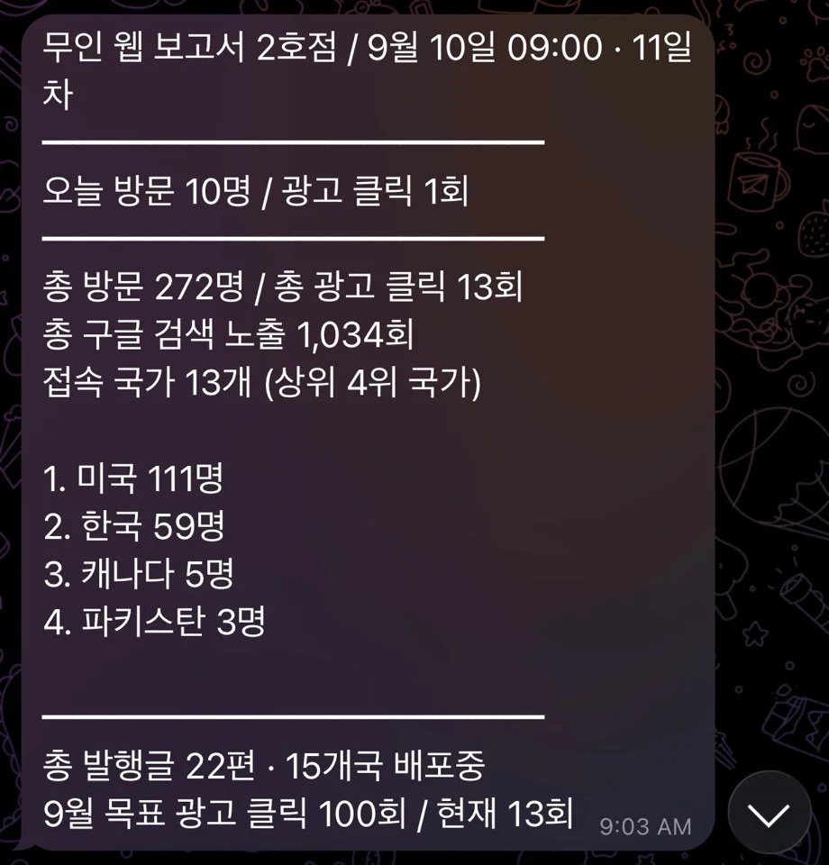무인 웹 보고서 2호점 11일차 구글 검색 노출 및 국별 접속자 통계