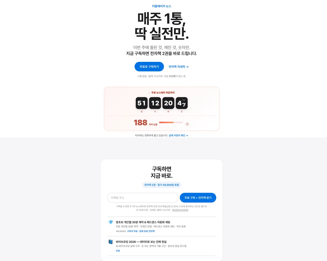 실전 부업 전자책 무료 다운로드 및 뉴스레터 구독 신청 화면