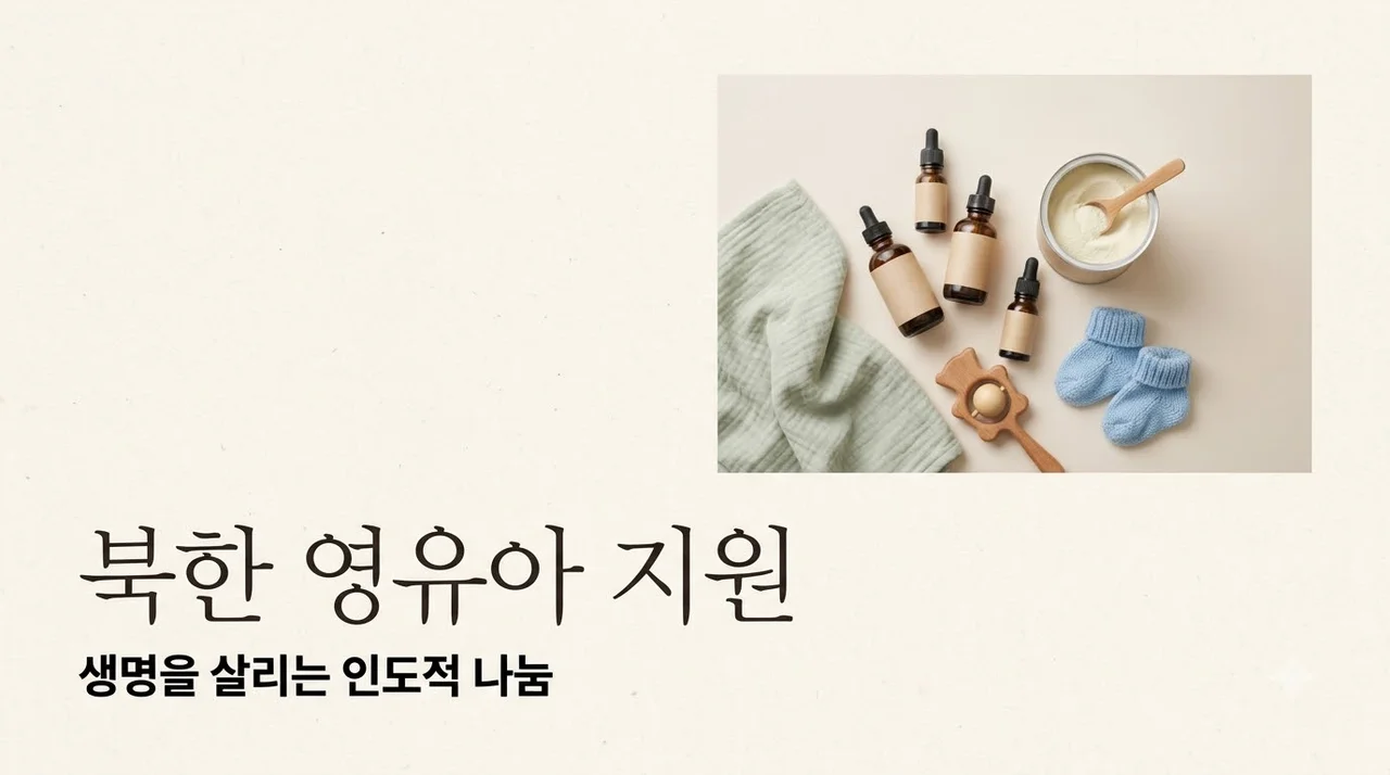북한 영유아 지원 현황과 후원 방법 총정리 (영양·의료 구호)